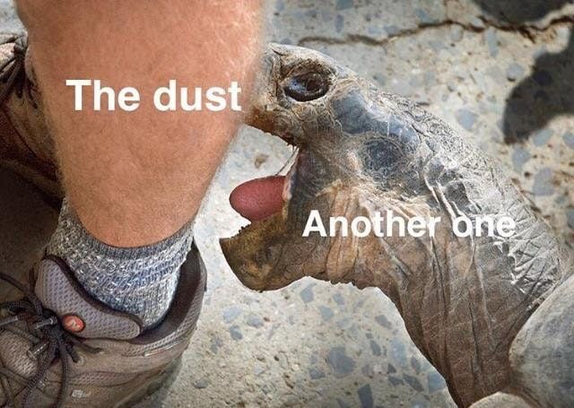 B  