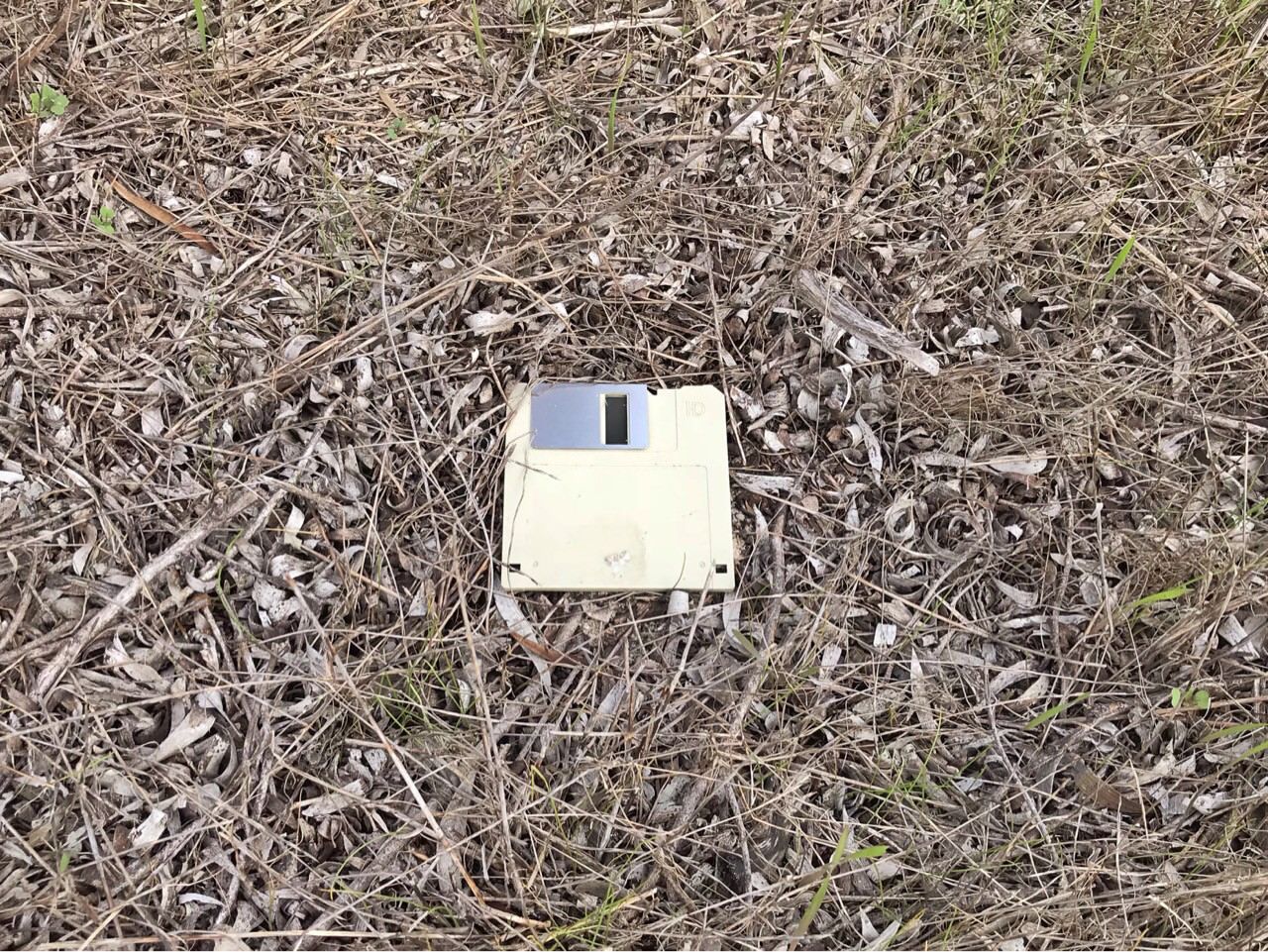 Was hiking in the bush and found this - when random save points appear something terrible is about to happen, right...?
