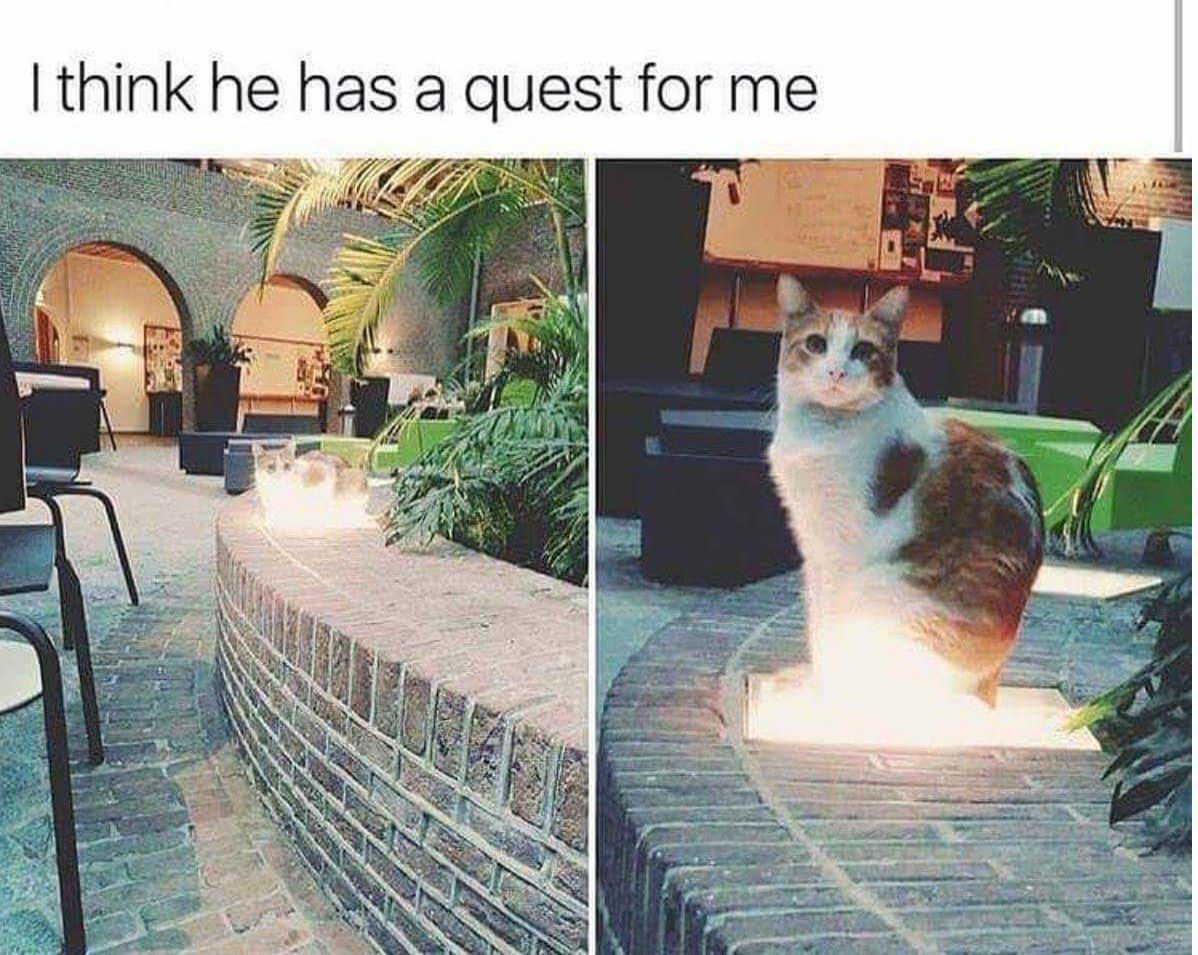 I think he has a quest for me