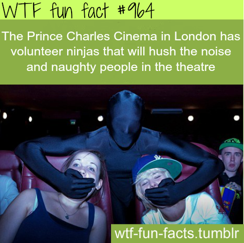 Why can't we have ninjas like this in all the cinemas?