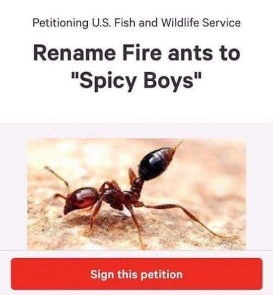 They attacc