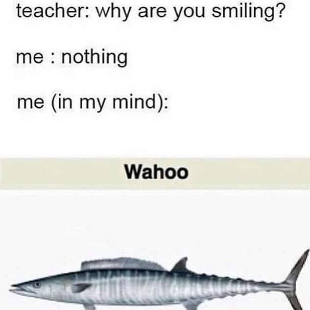 he he he
