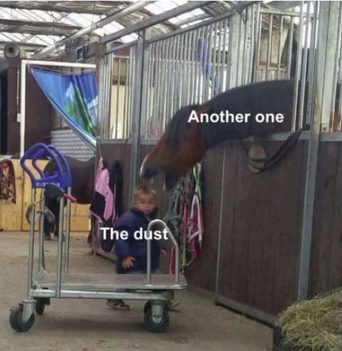 Top ten pictures taken before tragedies