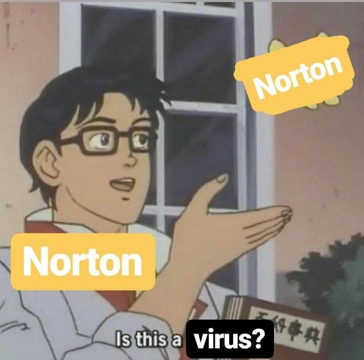 Norton in a nutshell