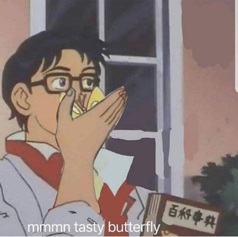 Is this food?