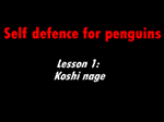 Ninja penguin