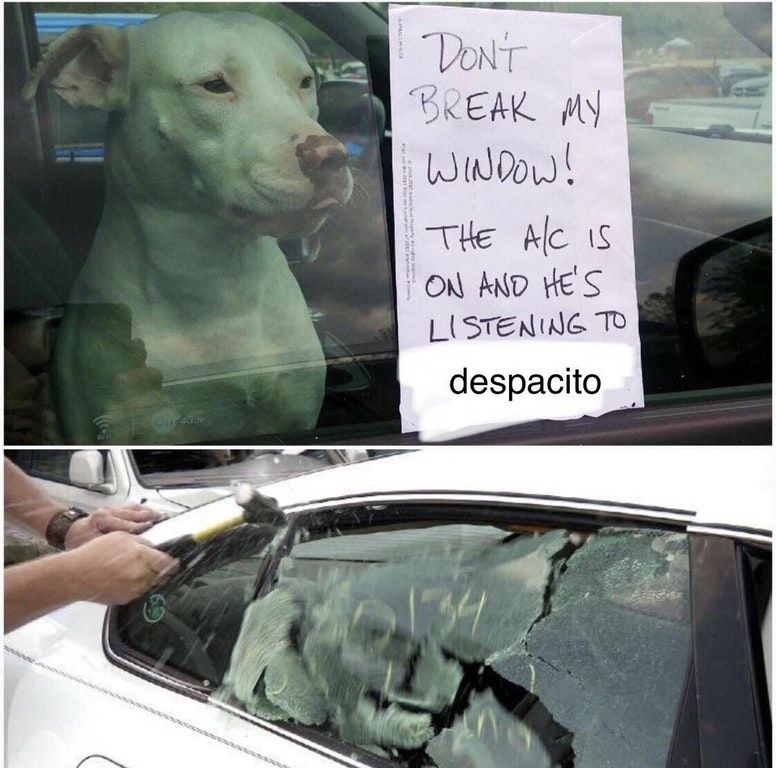 Save him!