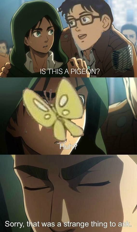 Sorry