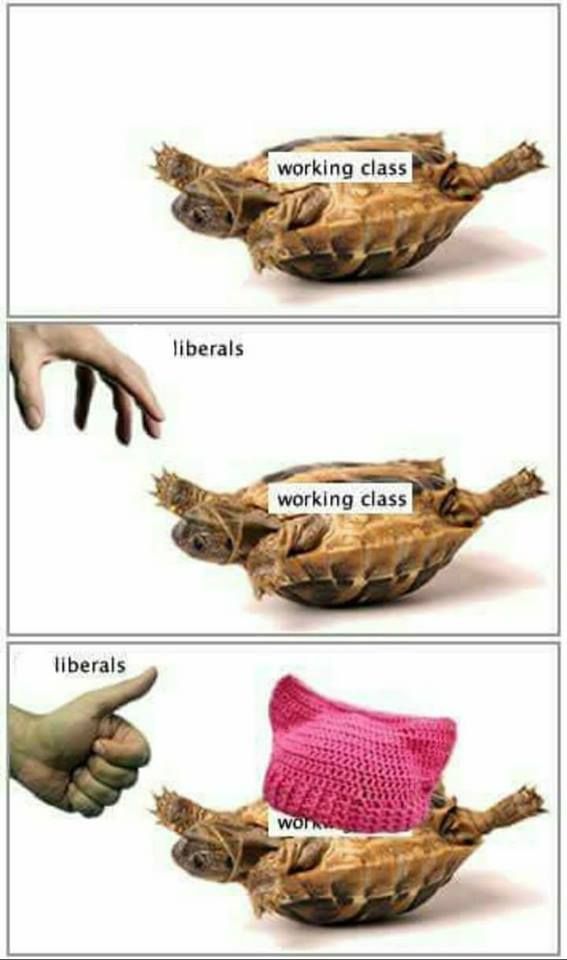 fix