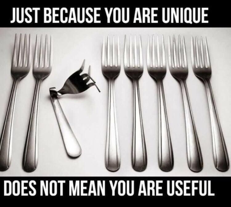Just because you are unique does not mean you are useful.