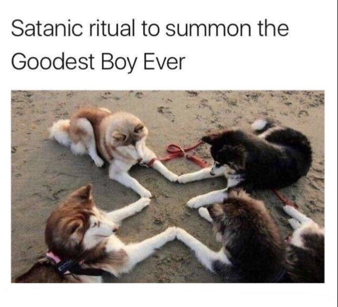 Satanic doggos