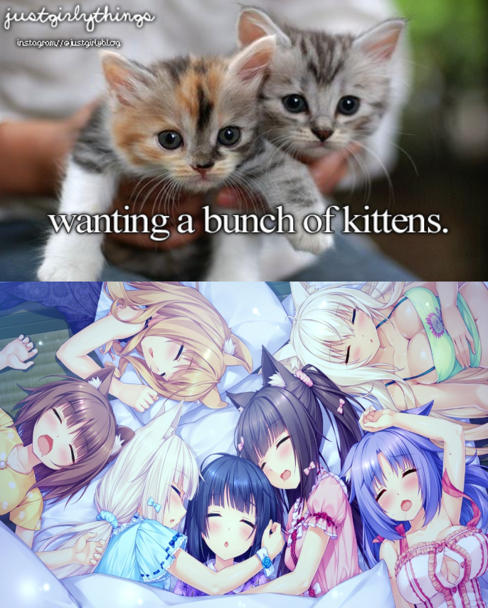:notlikethis:
