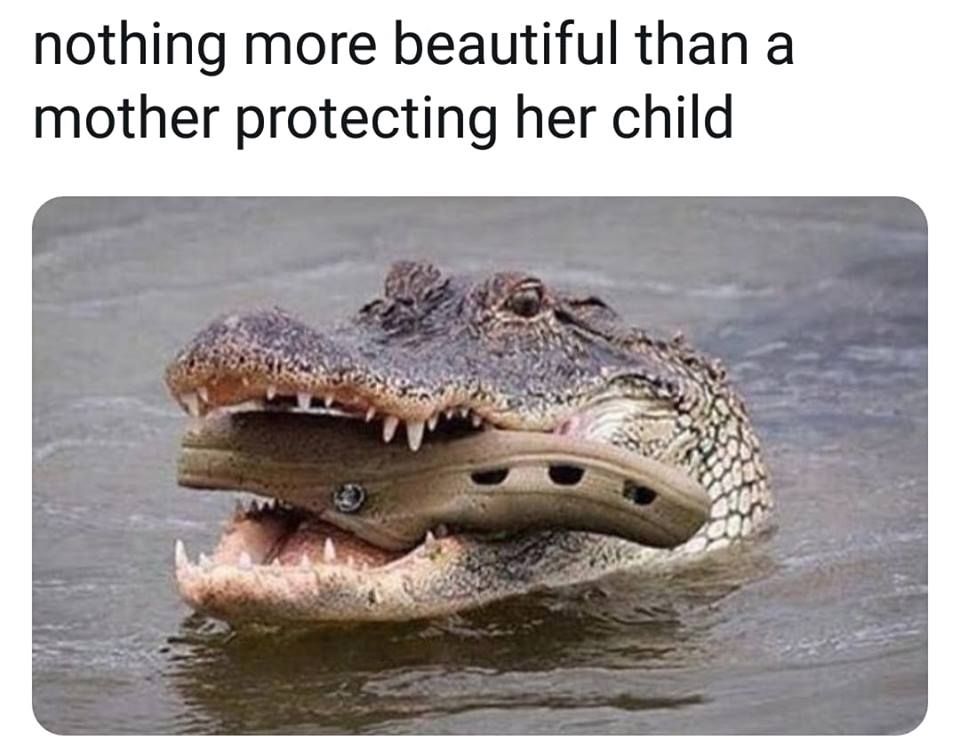 Croc was a favorite game growing up