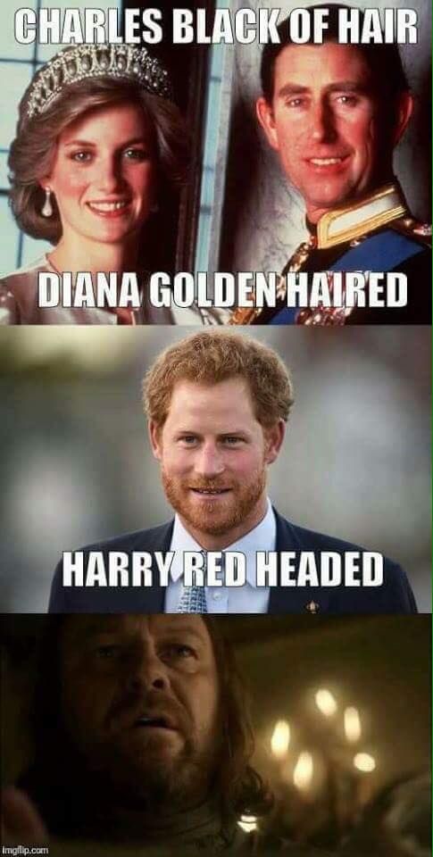 ed.