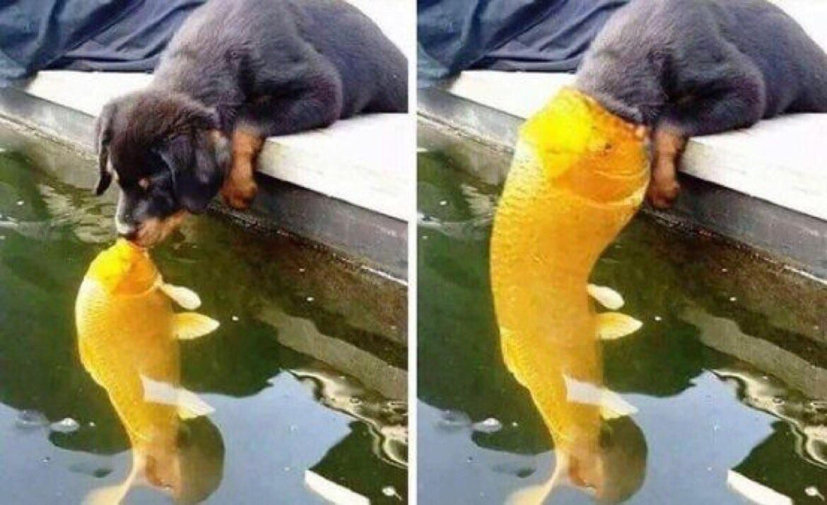 It started out with a kiss how did it end up like this