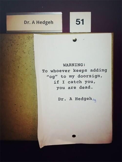 Dr. Hedgehog is not amused.
