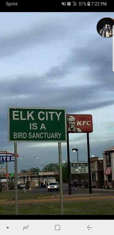 KFC violatin bird law out here