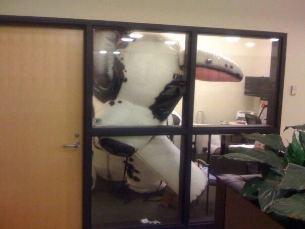 I, therefore thought it would be funny to inflate a 10' dog inside her 9' office.