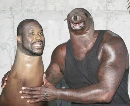 Shaquille O'Seal and Seal O'Shaquille