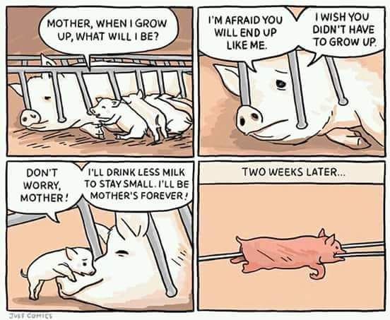 This little piggy went to the grill