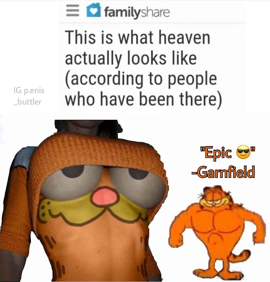 the dream