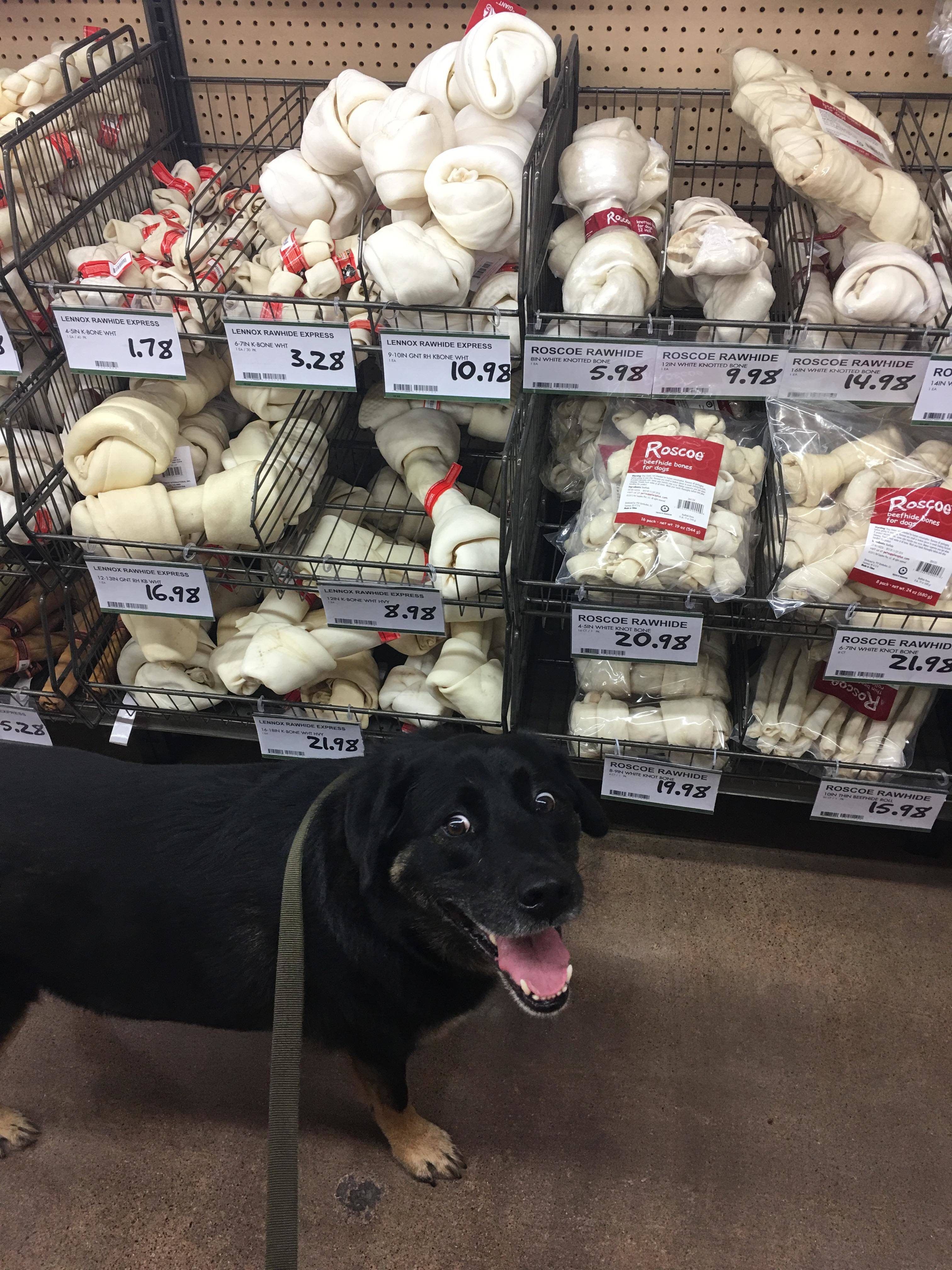 "CAN WE BUY THEM ALL???"