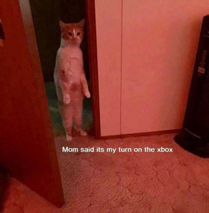 no one gives a damn