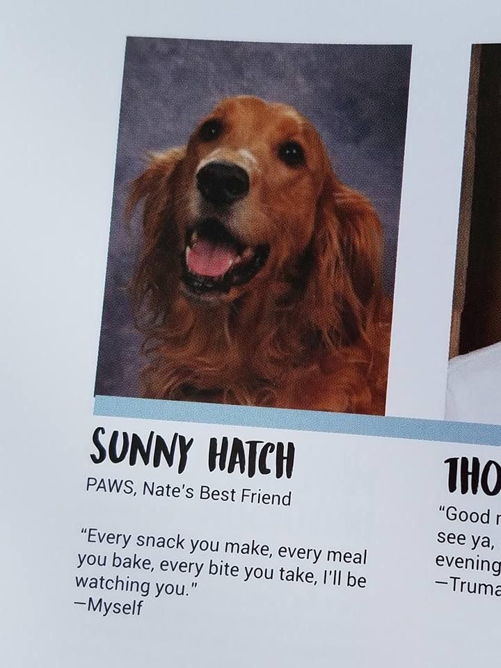 They put my friend’s service dog in the yearbook