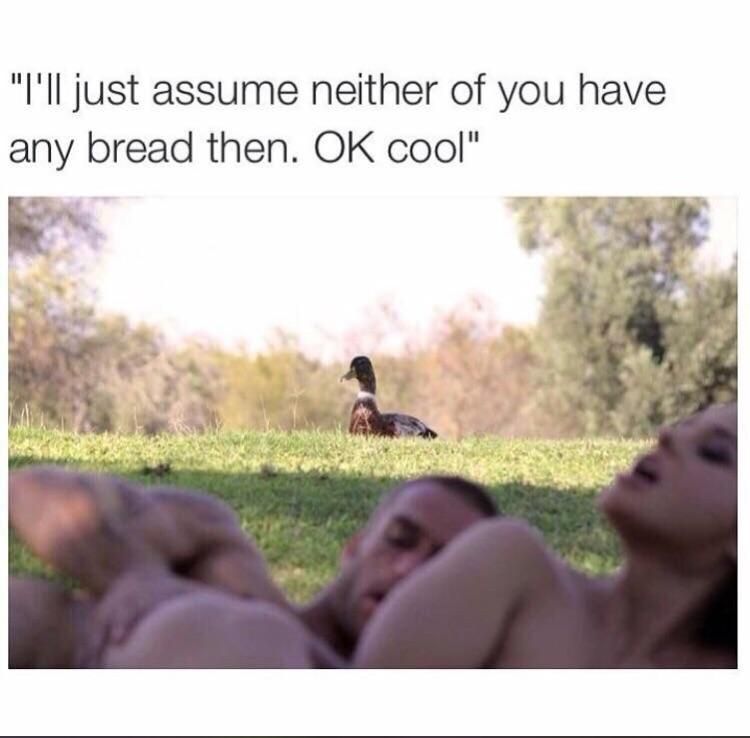 Poor duck