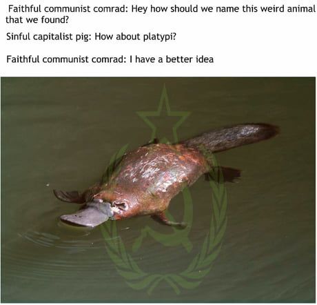 And people say communism doesn't work...