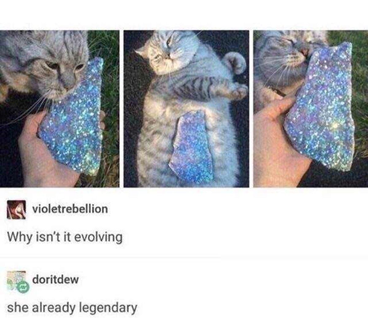 good catto