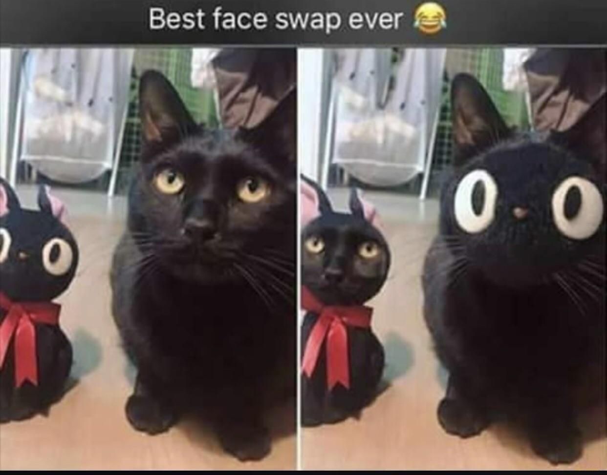 Is this the best face swap or what?
