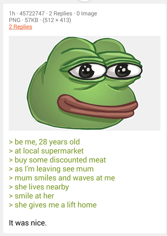 Anon sees his mother