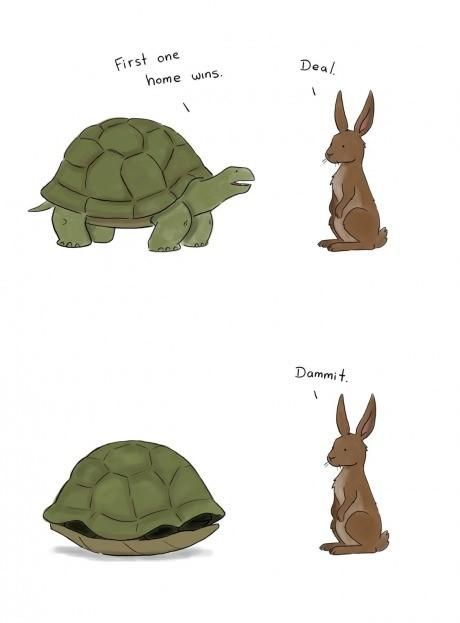 "The Tortoise and the Hare" the Short Version