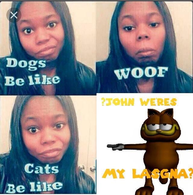 L A S A G N A