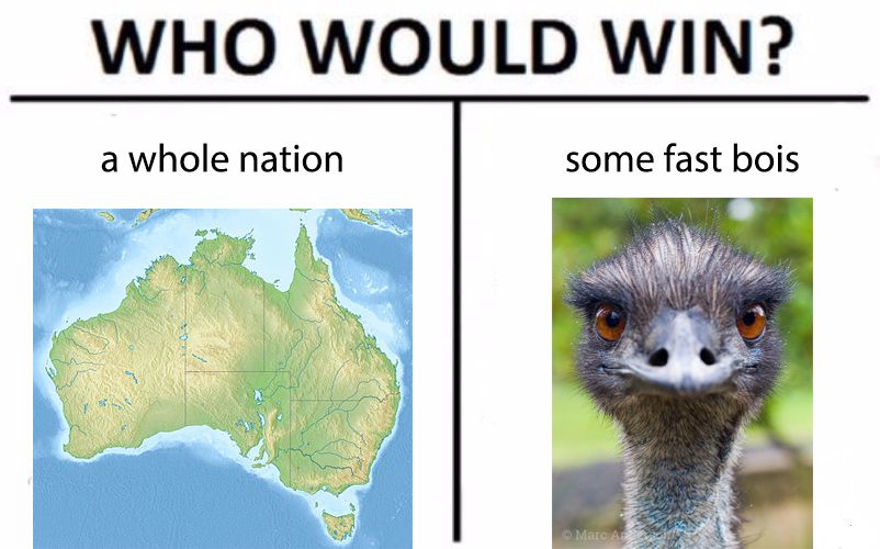 Who would win?
