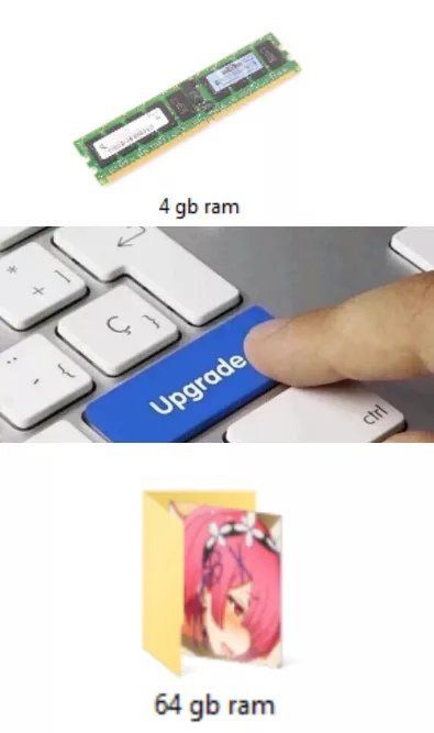 Y E S