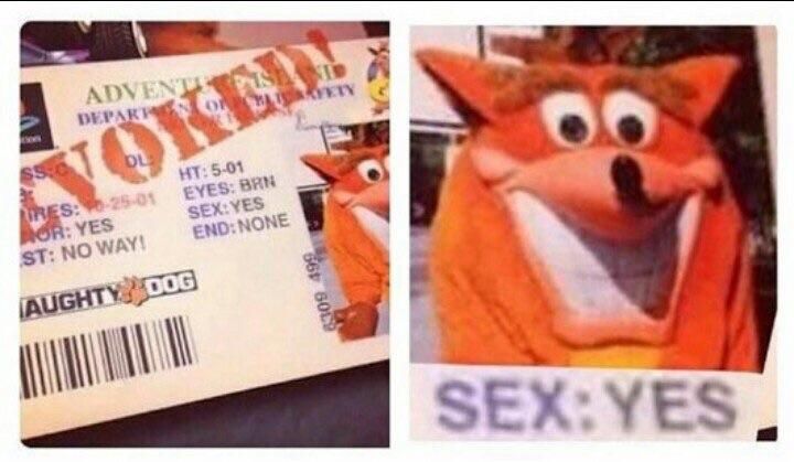 who's a naughty dog?