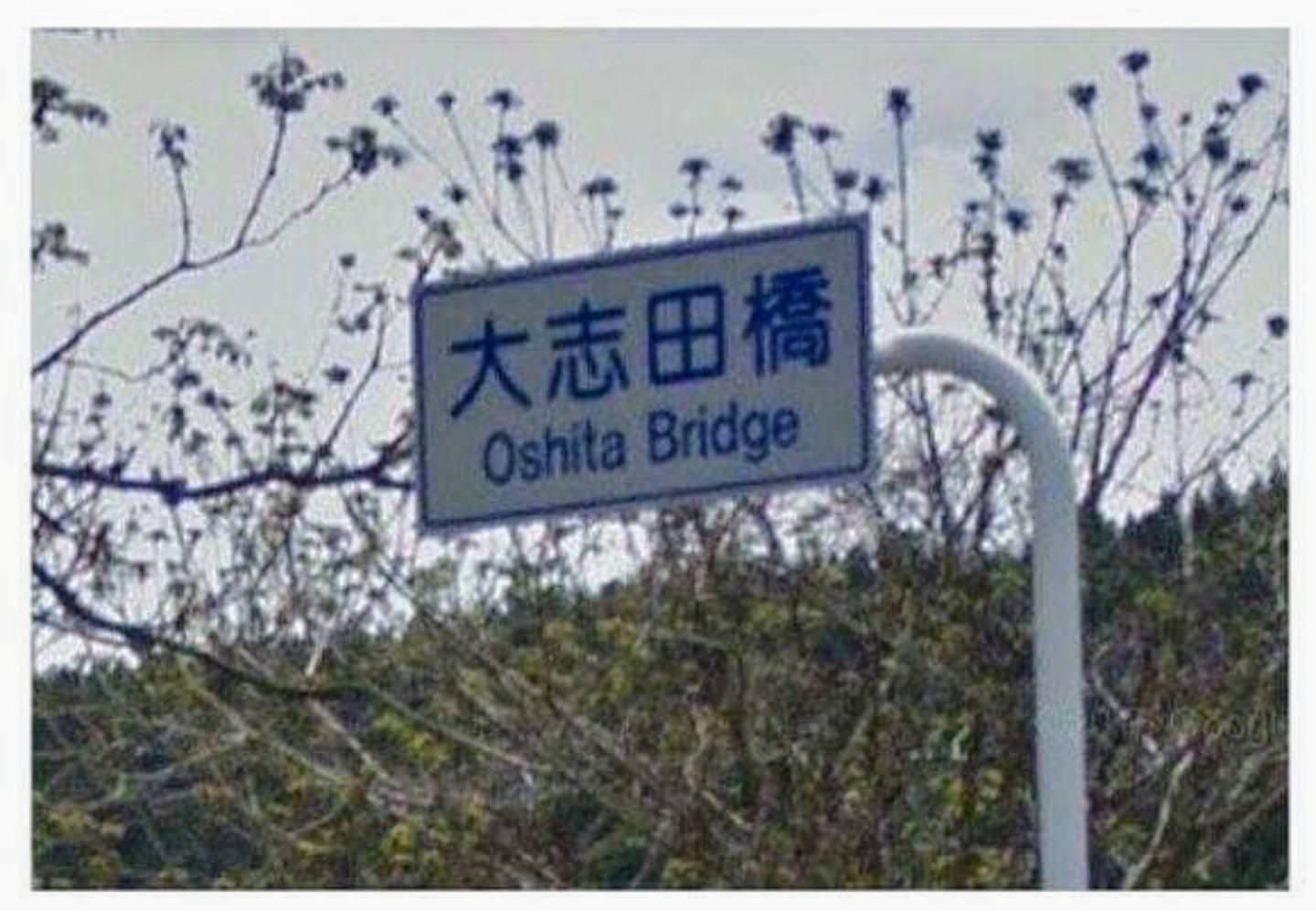 When you didn't think you were gonna see a bridge but then you see a bridge