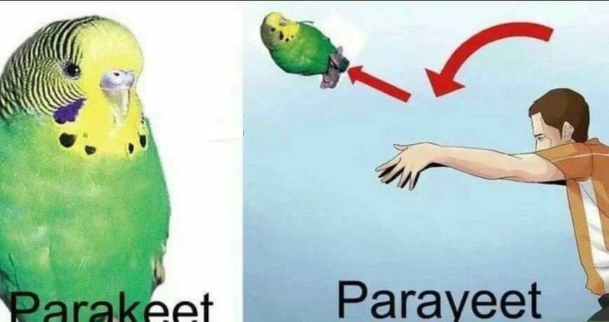 Helpful and Informative