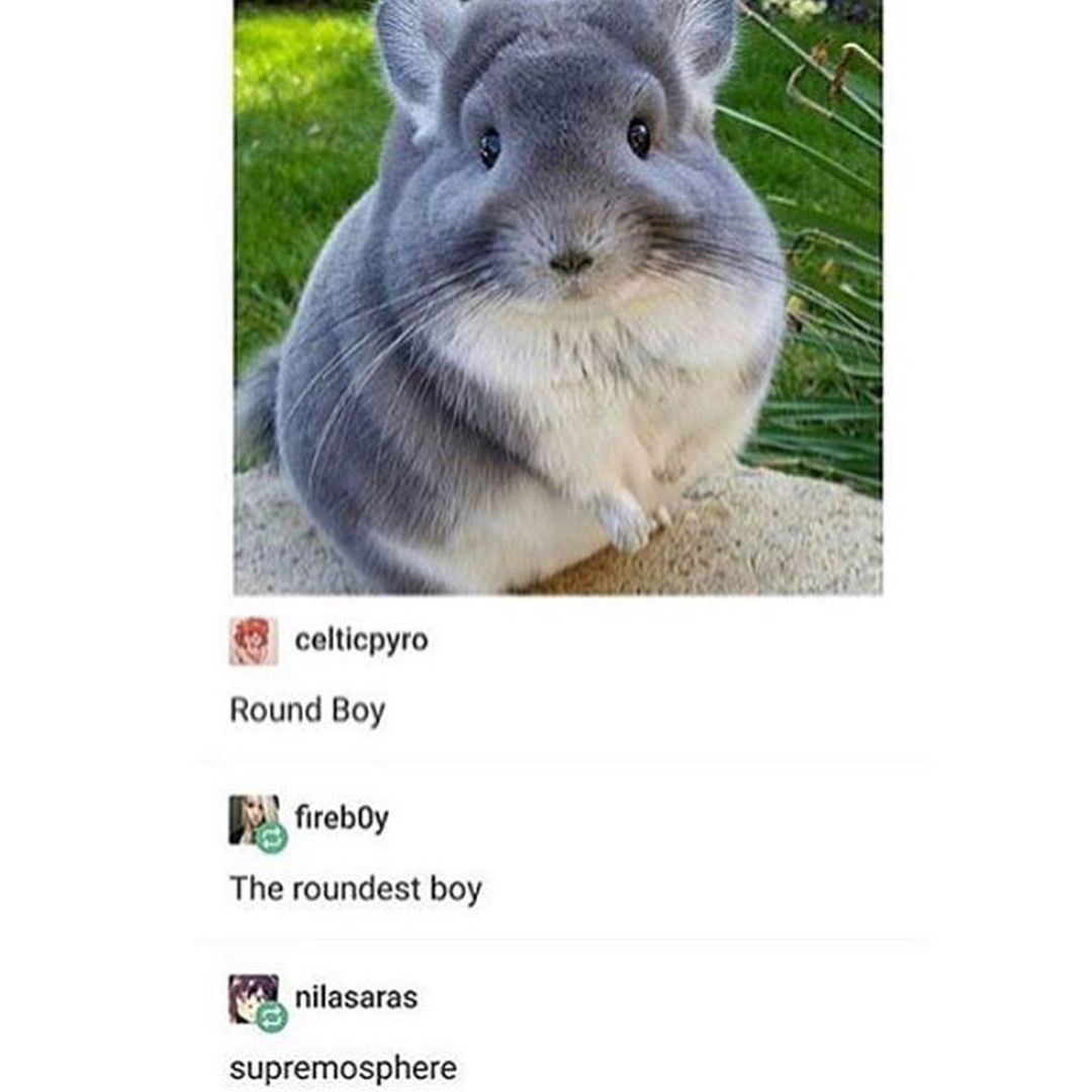 tricc