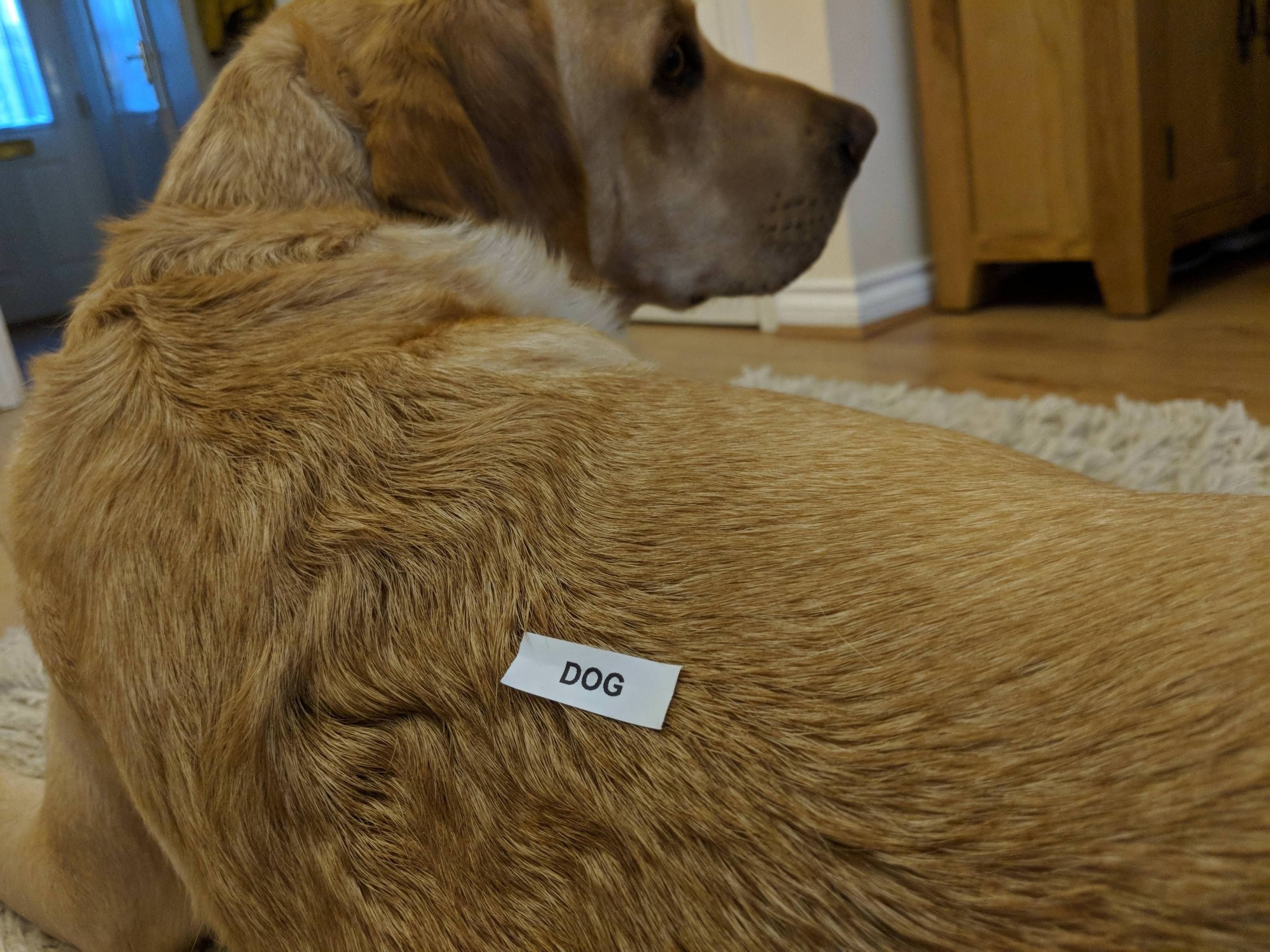 Looks like my wife has been putting the label maker to good use