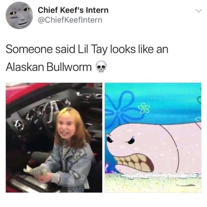 bull worm