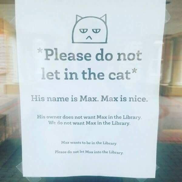 This cat is banned from a local library