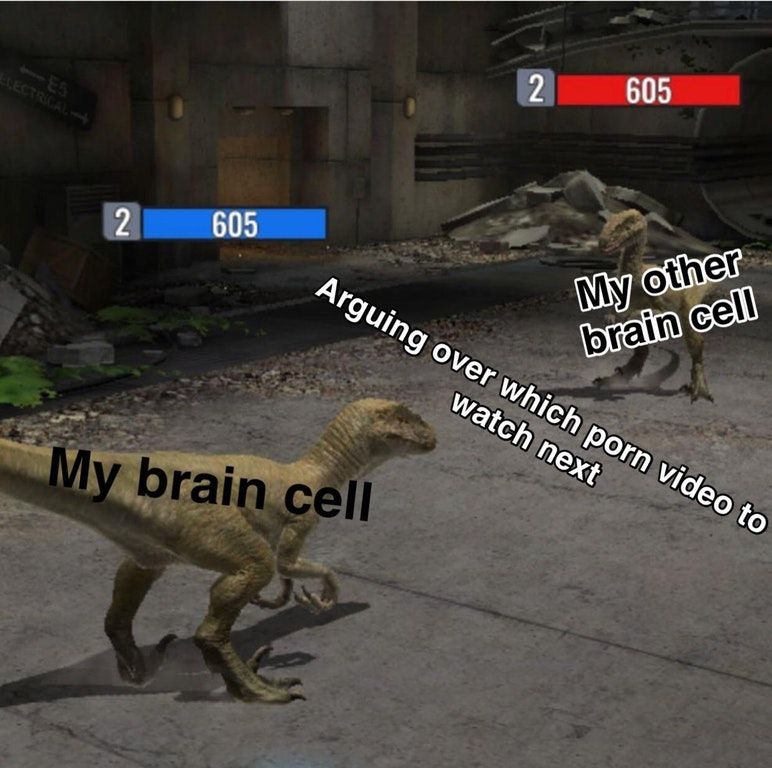 facts