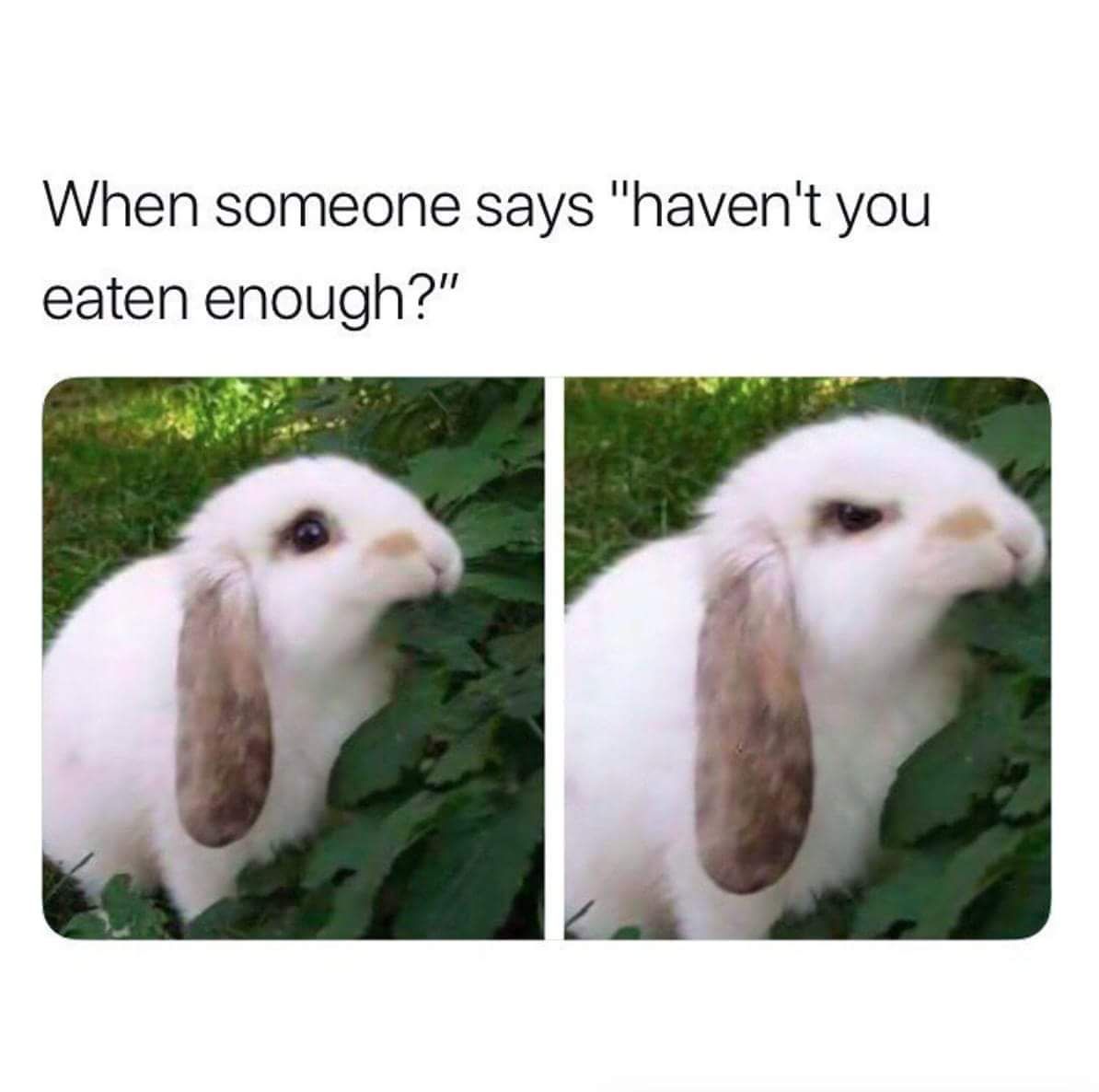 Let Me Eat