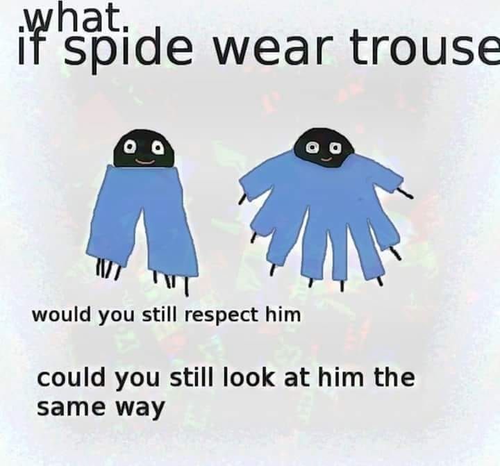 you wouldn't wouldn't you