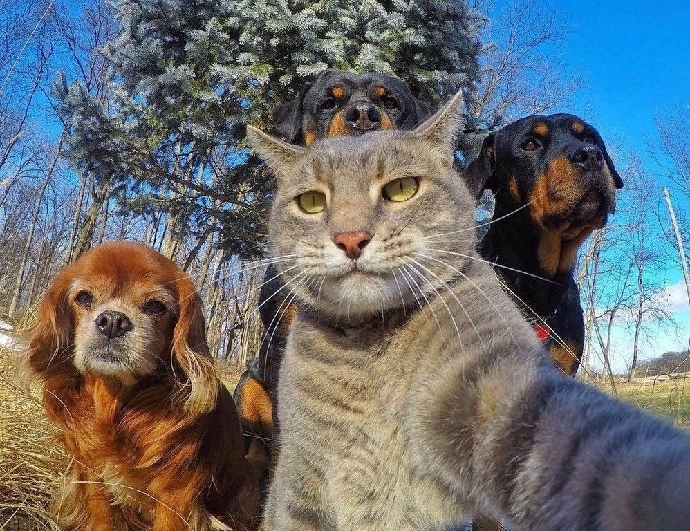 Awesome Selfie with the gang! Cool shot