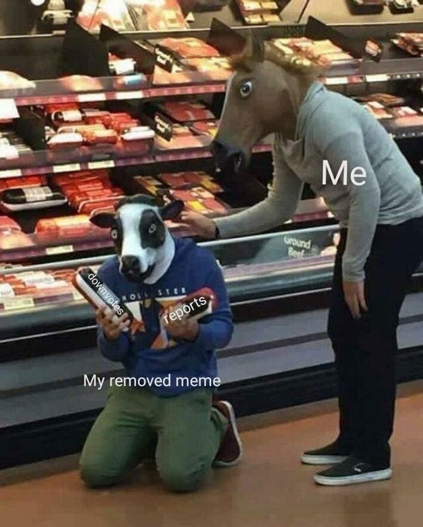 Damn normies, keep downvoting my memes