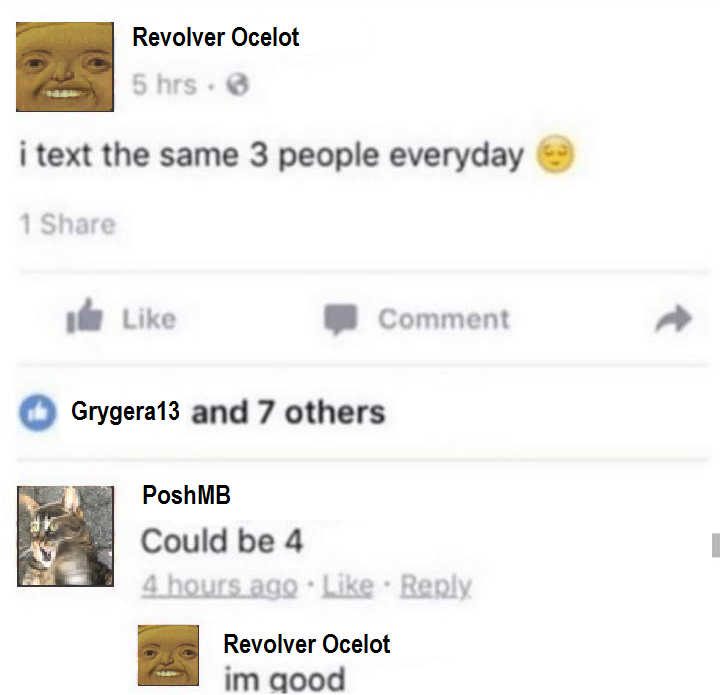 -Revolver Ocelot
